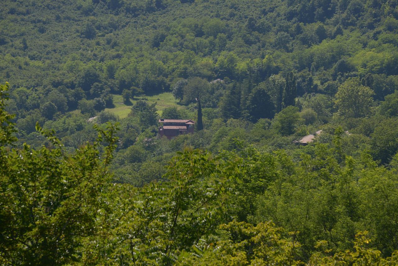 Chateau Chikovani Hotell Gordi Eksteriør bilde